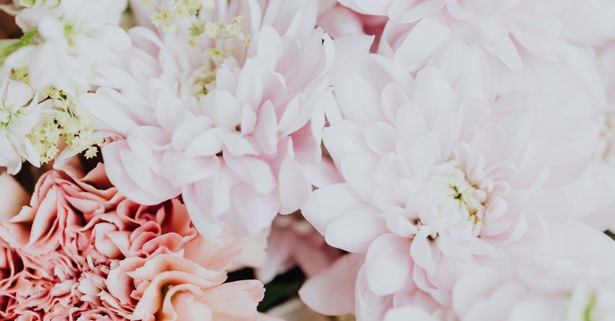 Crafting Funny Maid of Honor Speeches: A How-To Guide
